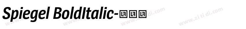 Spiegel BoldItalic字体转换